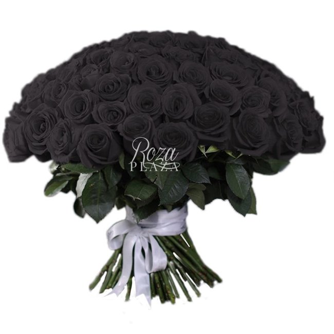 Черная роза Эквадор - салон «Roza Plaza» в Грозном